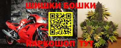 Альфа ПВП Лесосибирск