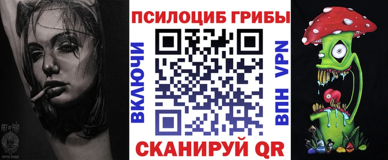 Псилоцибиновые грибы Psilocybe  Новошахтинск 