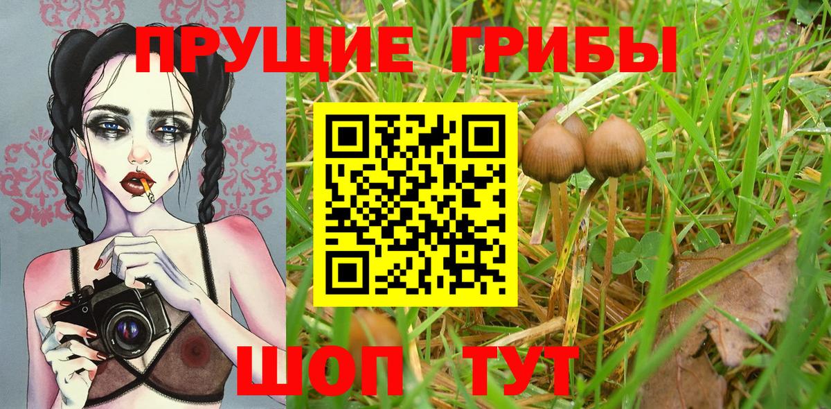 Галлюциногенные грибы Psilocybine cubensis  Вход с VPN  Новошахтинск  Псилоцибиновые грибы ЛСД 