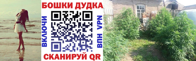Марихуана ГИДРОПОН Новошахтинск